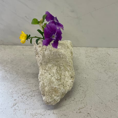 琉球石灰岩の花瓶