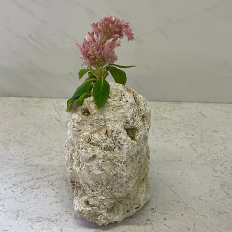 琉球石灰岩の花瓶