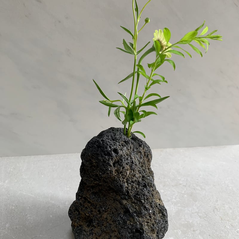 溶岩石の花瓶（大）③ | crest.opj