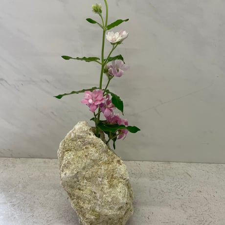 琉球石灰岩の花瓶
