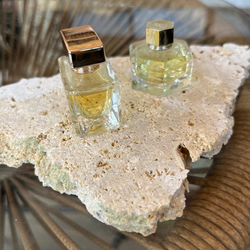 琉球リーフ 琉球石灰岩プレート | crest.opj