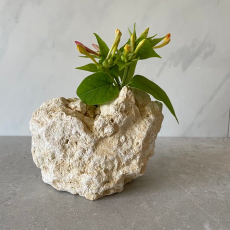 琉球石灰岩の花瓶（小）④
