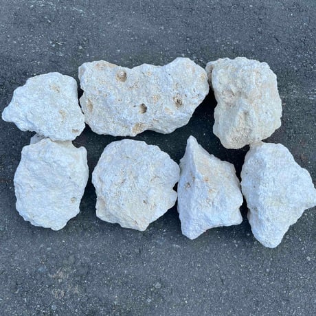 琉球石灰岩φ100〜200㎜　(1袋15kg)