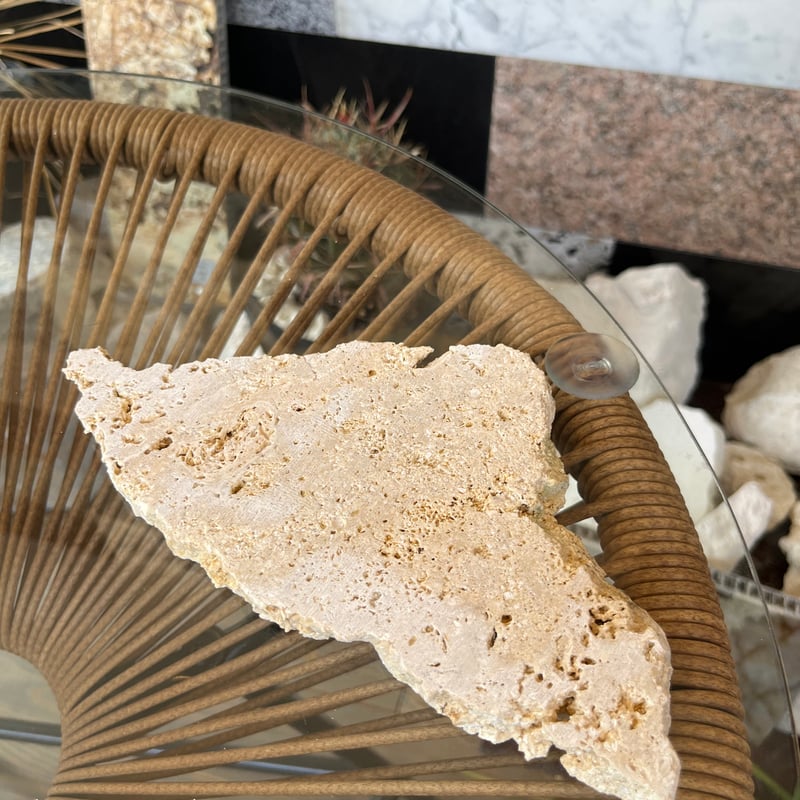 琉球石灰岩プレート | crest.opj