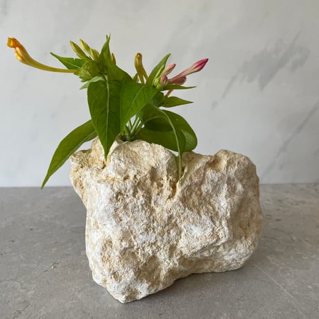 琉球石灰岩の花瓶（小）④