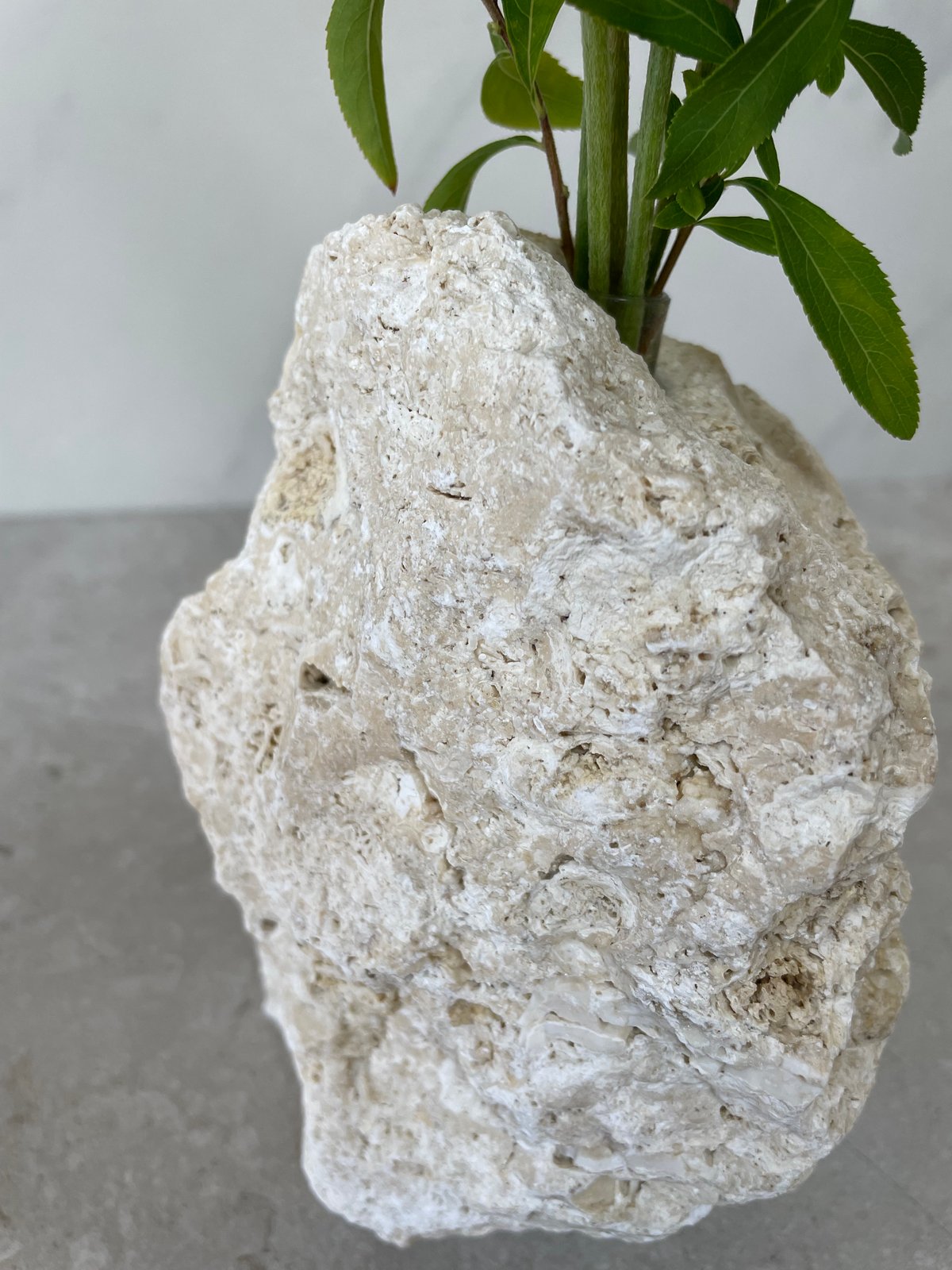 琉球石灰岩の花瓶（小）⑦ | crest.opj