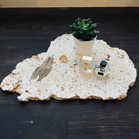 okinawa琉球石灰岩プレート