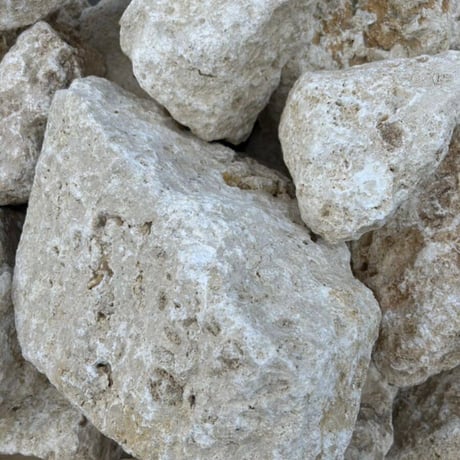 沖縄の琉球石灰岩（大）量り売り［お引き取りのみ］
