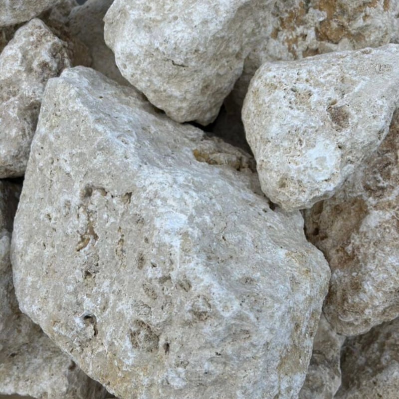 沖縄の琉球石灰岩（大）量り売り［お引き取りのみ］ | crest.opj