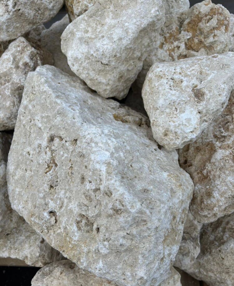 沖縄の琉球石灰岩（大）量り売り［お引き取りのみ］ | crest.opj