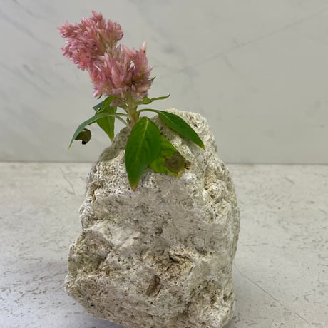 琉球石灰岩の花瓶