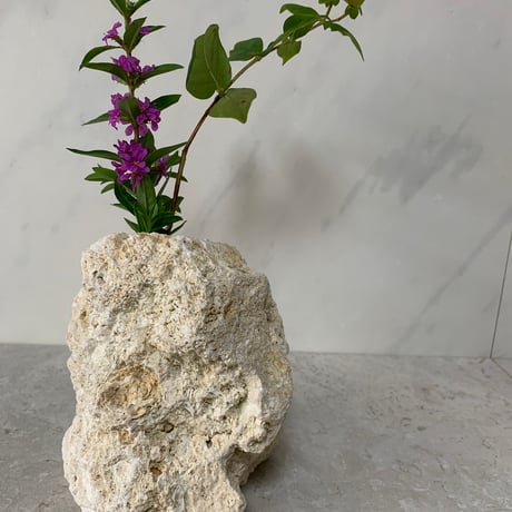 琉球石灰岩の花瓶（中）