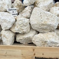 沖縄の琉球石灰岩（大）量り売り［お引き取りのみ］