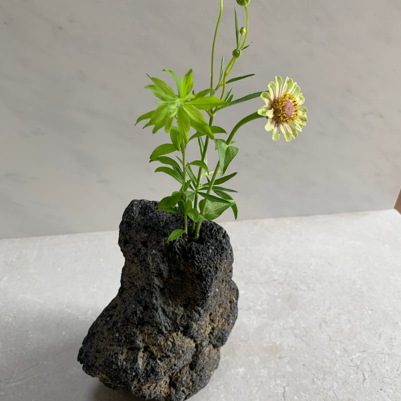 溶岩石の花瓶（大）③ | crest.opj
