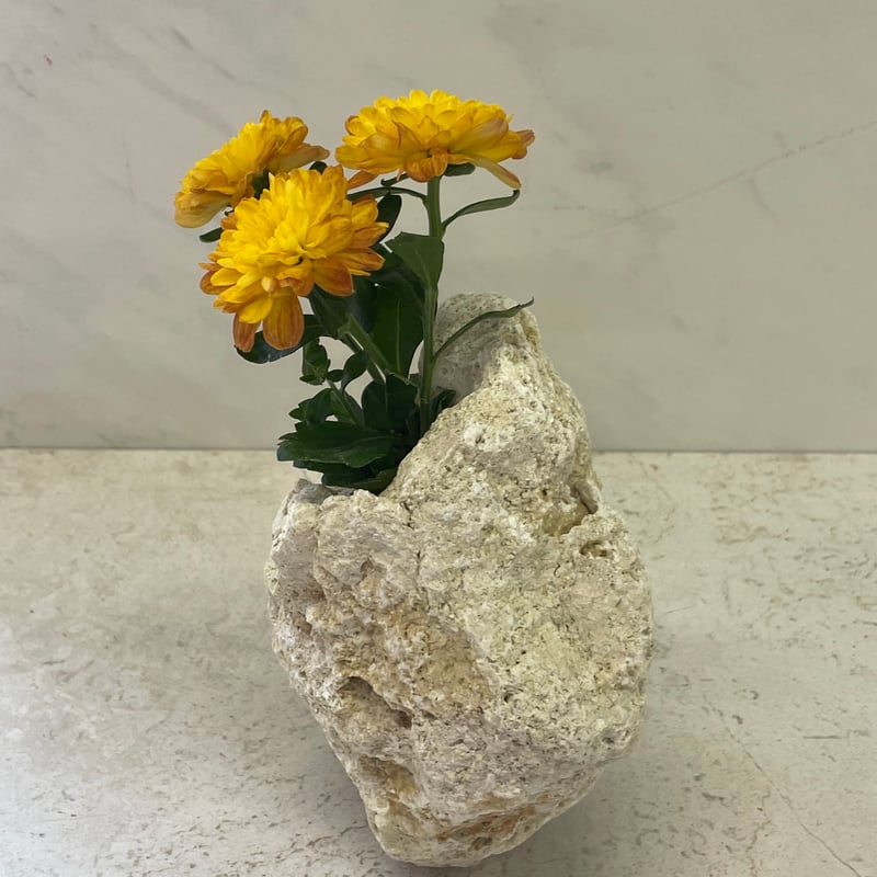 琉球石灰岩の花瓶 | crest.opj