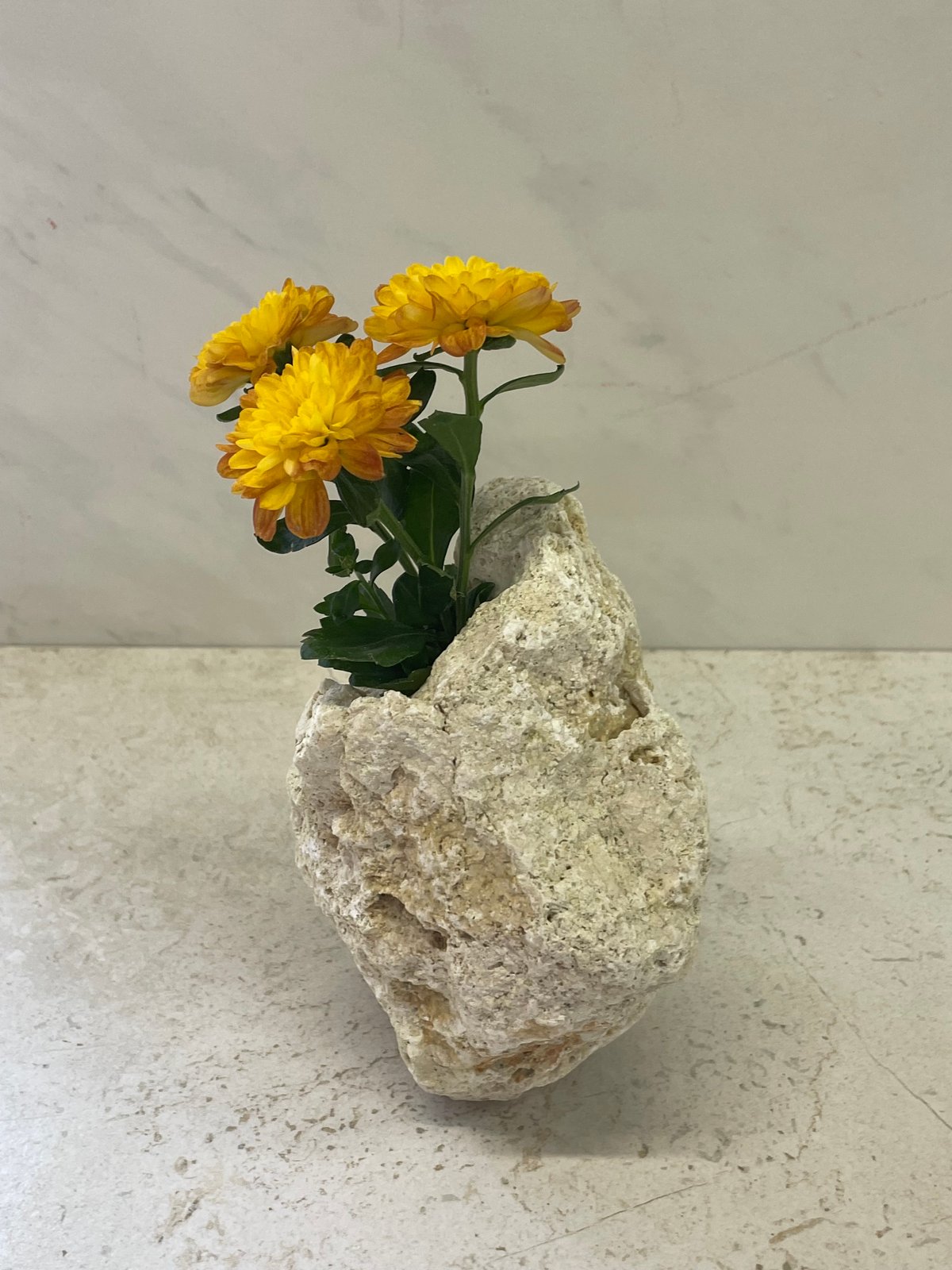 琉球美術　琉球焼雲龍瑞　花瓶　高さ21.5cm 東H6-0326②タカト 琉球美術 琉球焼雲龍瑞 花瓶 高さ21.5cm 東H6-0326②タカト