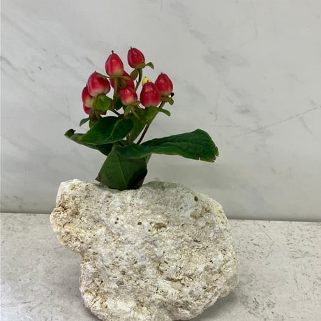 琉球石灰岩の花瓶