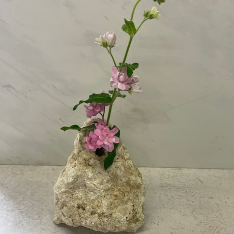 琉球石灰岩の花瓶