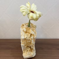 天然琉球石灰岩の花瓶*1輪挿し［１品もの］no112