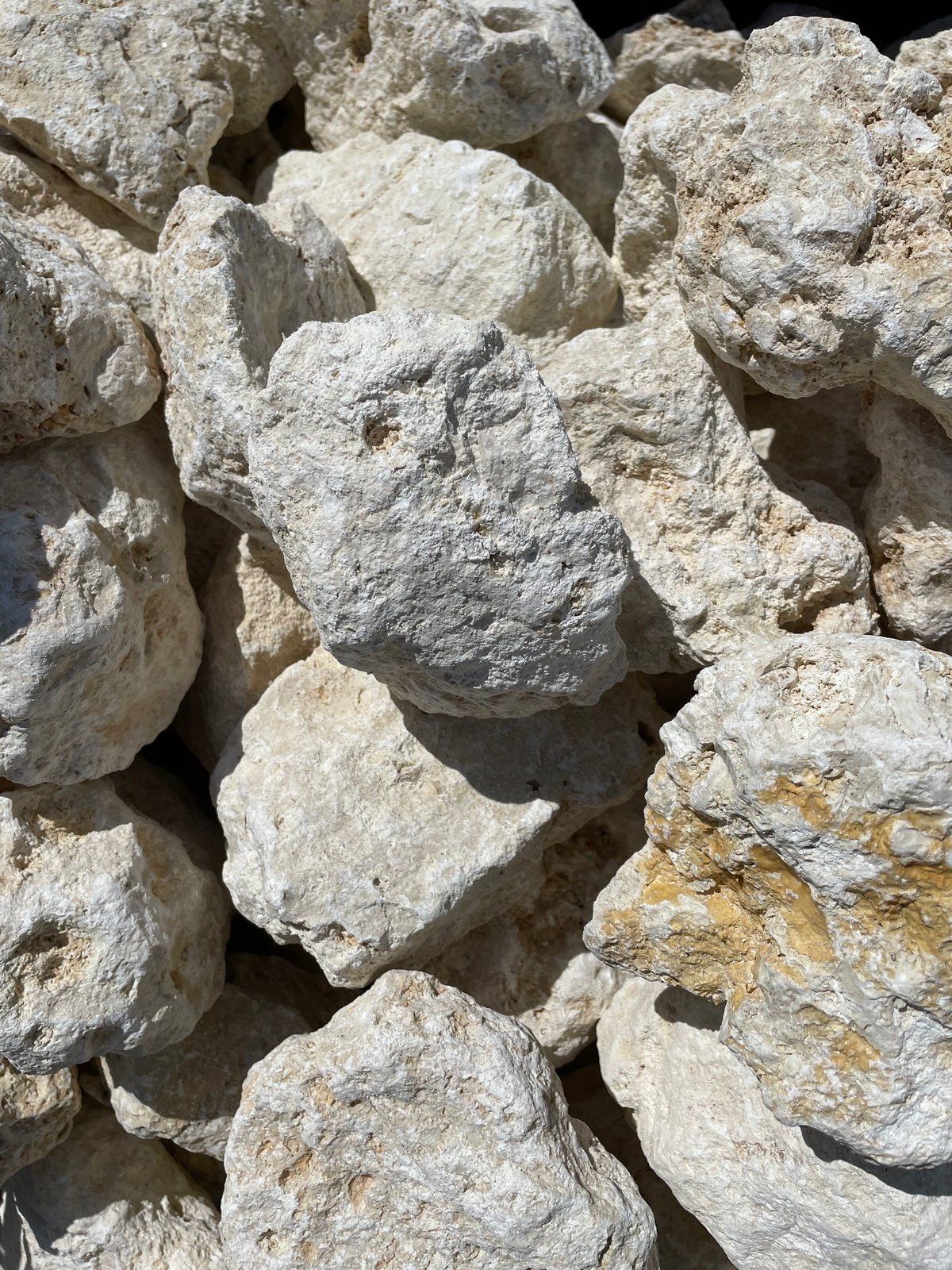 千軒石。中型 グレー 火山岩 水石 千軒石。中型 グレー 火山岩 水石