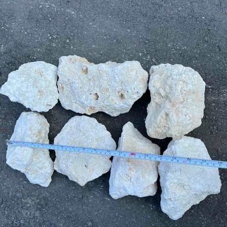 琉球石灰岩φ100〜200㎜　(1袋15kg)
