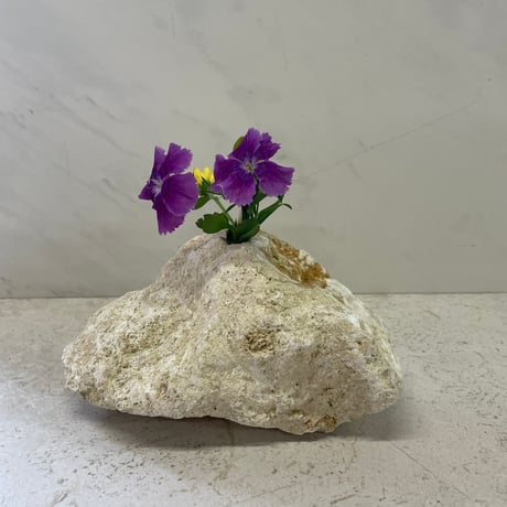 琉球石灰岩の花瓶