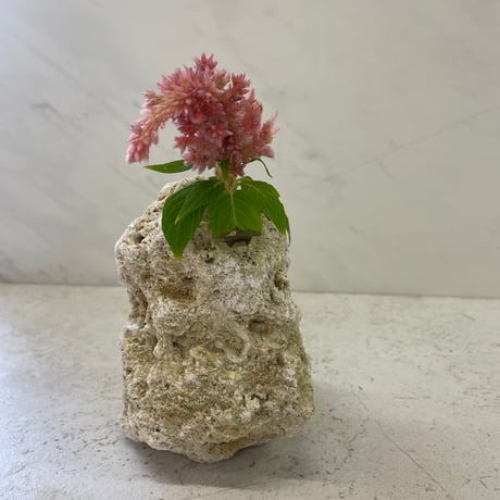 琉球石灰岩の花瓶