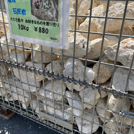 琉球石灰岩　Φ100～250ｍｍ　18kg