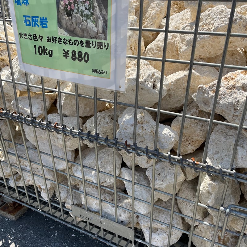 琉球石灰岩 Φ100～250mm 18kg | crest.opj