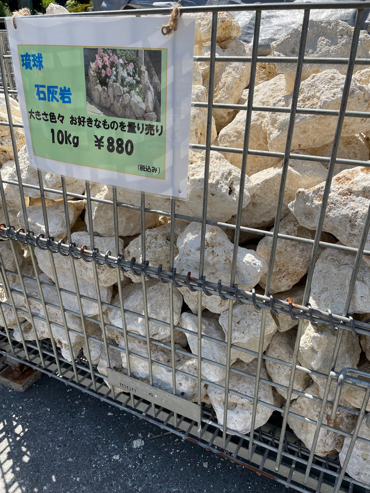 琉球石灰岩 Φ100～250mm 18kg | crest.opj