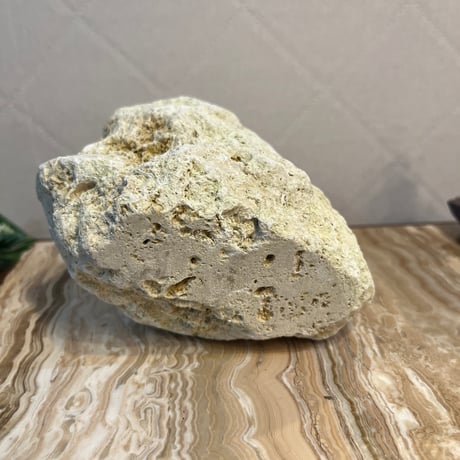 琉球石灰岩花瓶