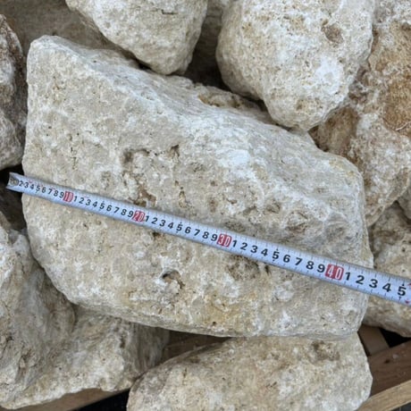沖縄の琉球石灰岩（大）量り売り［お引き取りのみ］