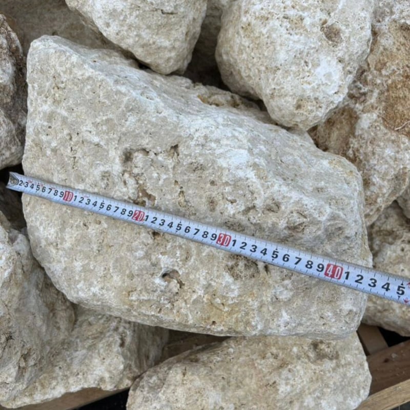 琉球石灰岩 鉢植え 約17㎝×約19㎝ 琉球石灰岩 鉢植え 約17㎝×約19㎝