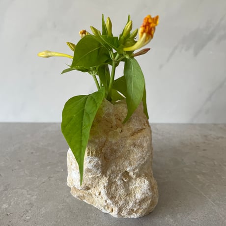 琉球石灰岩の花瓶（小）④