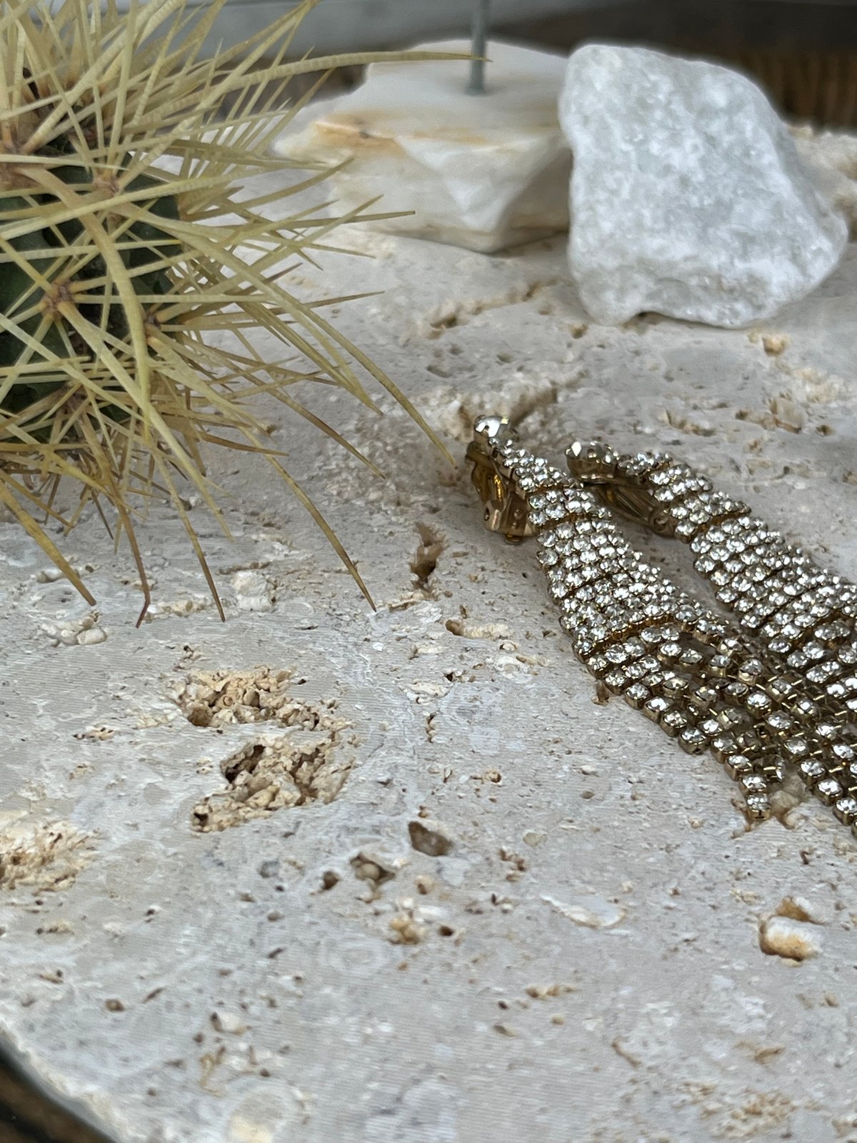 ガジュマル　琉球石灰岩巻き付 ガジュマル 琉球石灰岩巻き付 Okinawa琉球石灰岩プレート | crest.opj