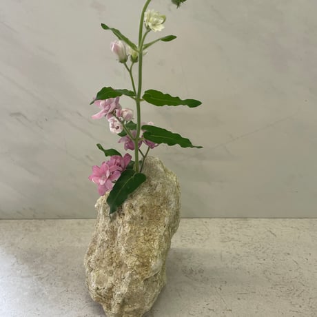琉球石灰岩の花瓶