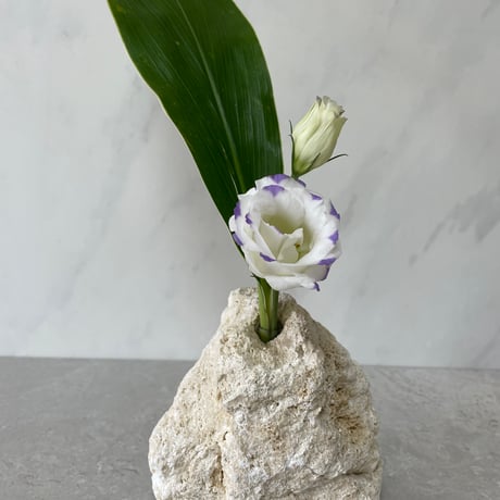 琉球石灰岩の花瓶（中）②