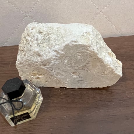 Okinawa琉球石灰岩小さなプレート
