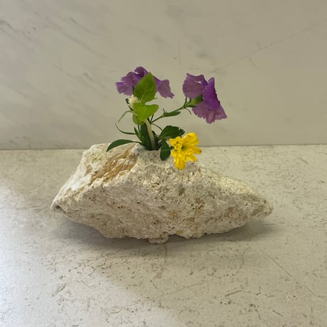 琉球石灰岩の花瓶