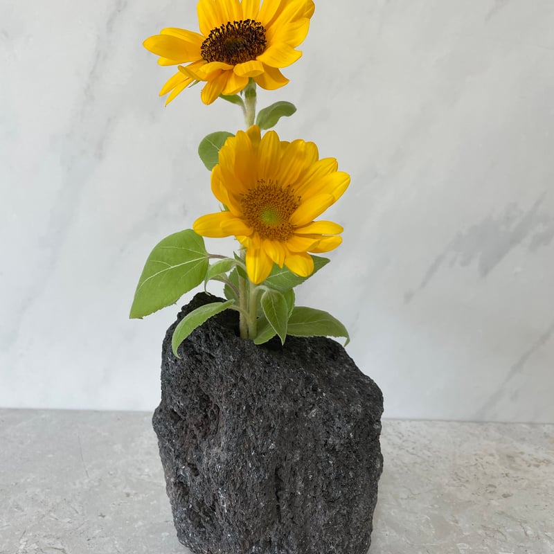 溶岩石の花瓶（中）⑥ | crest.opj