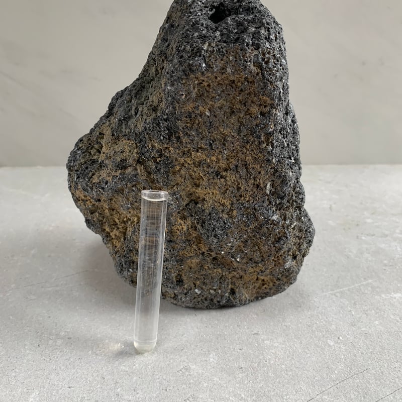 溶岩石の花瓶（大）③ | crest.opj