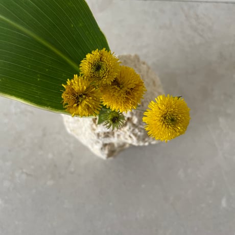 琉球石灰岩の花瓶（小）