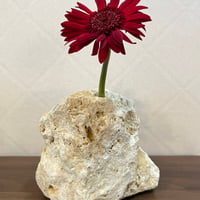天然琉球石灰岩の花瓶(小)＊1輪挿し[1品もの］no111