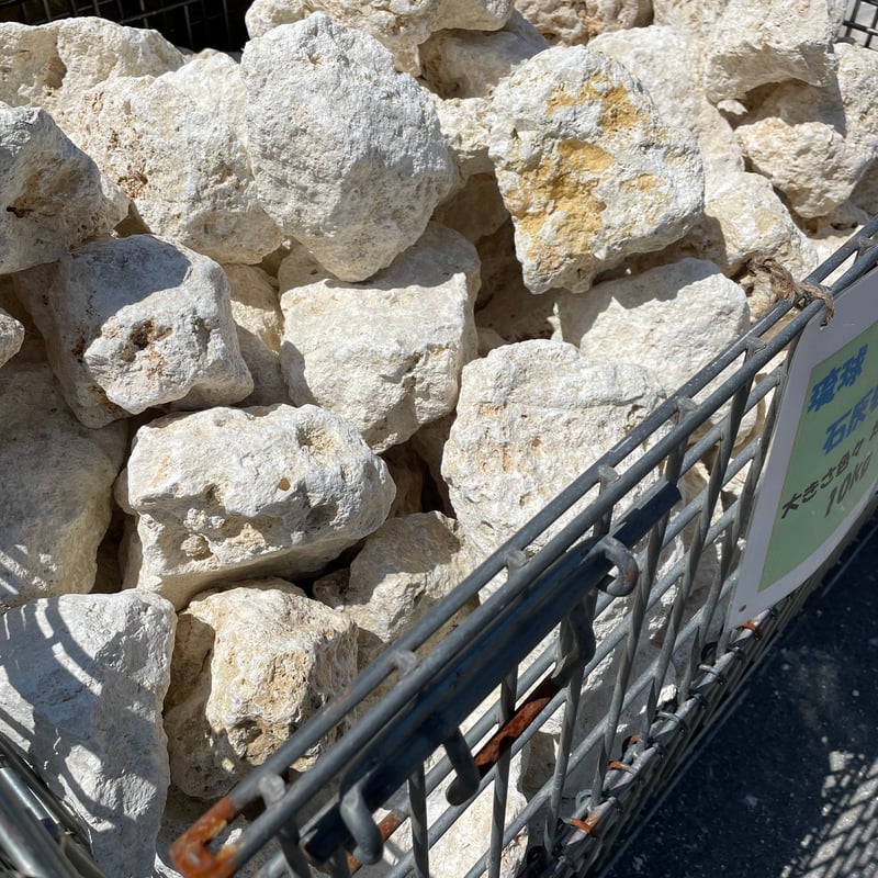 琉球石灰岩 Φ100～250mm 18kg | crest.opj