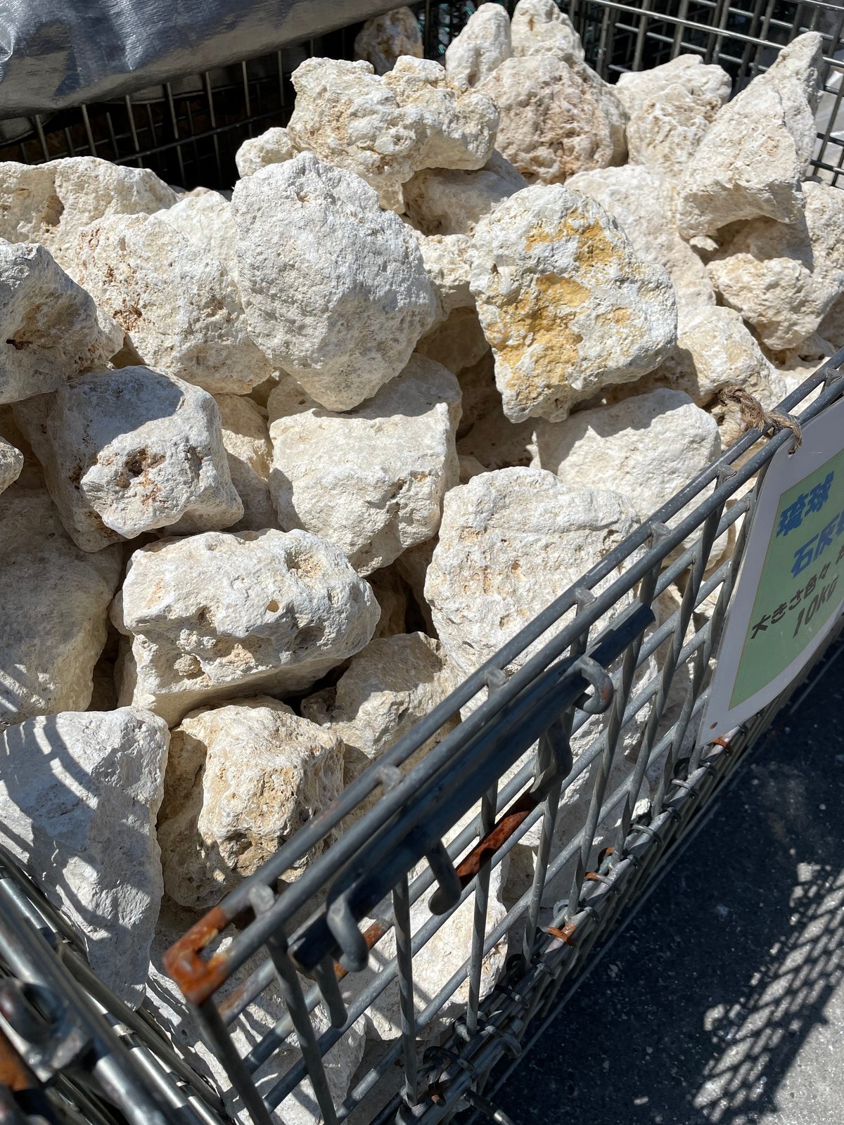 琉球石灰岩 Φ100～250mm 18kg | crest.opj