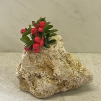 琉球石灰岩の花瓶