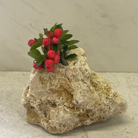 琉球石灰岩の花瓶