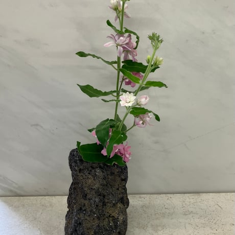阿蘇熔岩石の花瓶