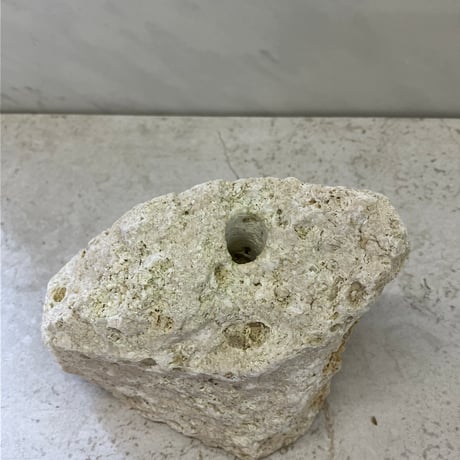 琉球石灰岩の花瓶