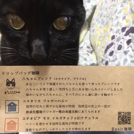 😸はっちゃんブレンド😸